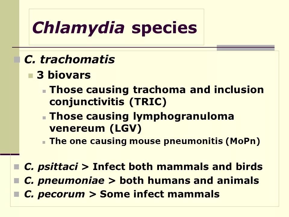 Хламидия trachomatis. Хламидия пситтаци.