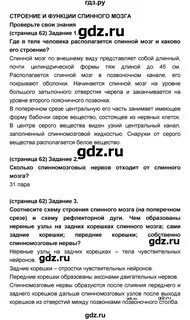 Биология 8 класс сонин ответы на вопросы