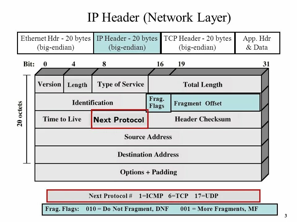 Tcp udp icmp. Заголовок пакета tcp. структура заголовка tcp. формат пакета tcp.