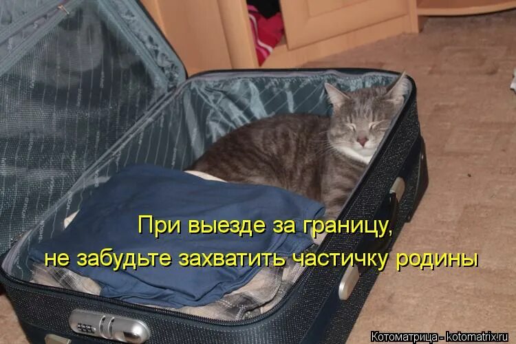 забыли вещь уехали. чемодан в лагерь. камера хранения чемоданов. много чемоданов с вещами. уезжающий поезд.