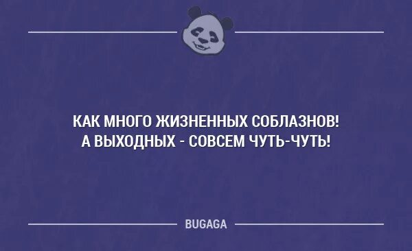 Цитаты про выходные. Смешные цитаты про выходные. Цитаты про выходной день. Веселые цитаты про выходные.