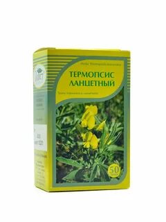 Термопсис ланцетный таблетки