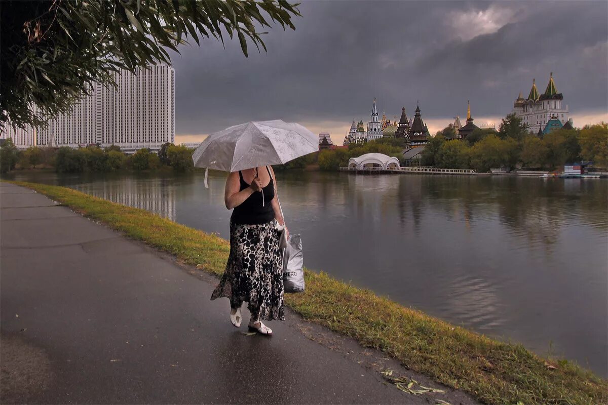 дождливое лето. ливень. животные под зонтом. ливень. сильный дождь.