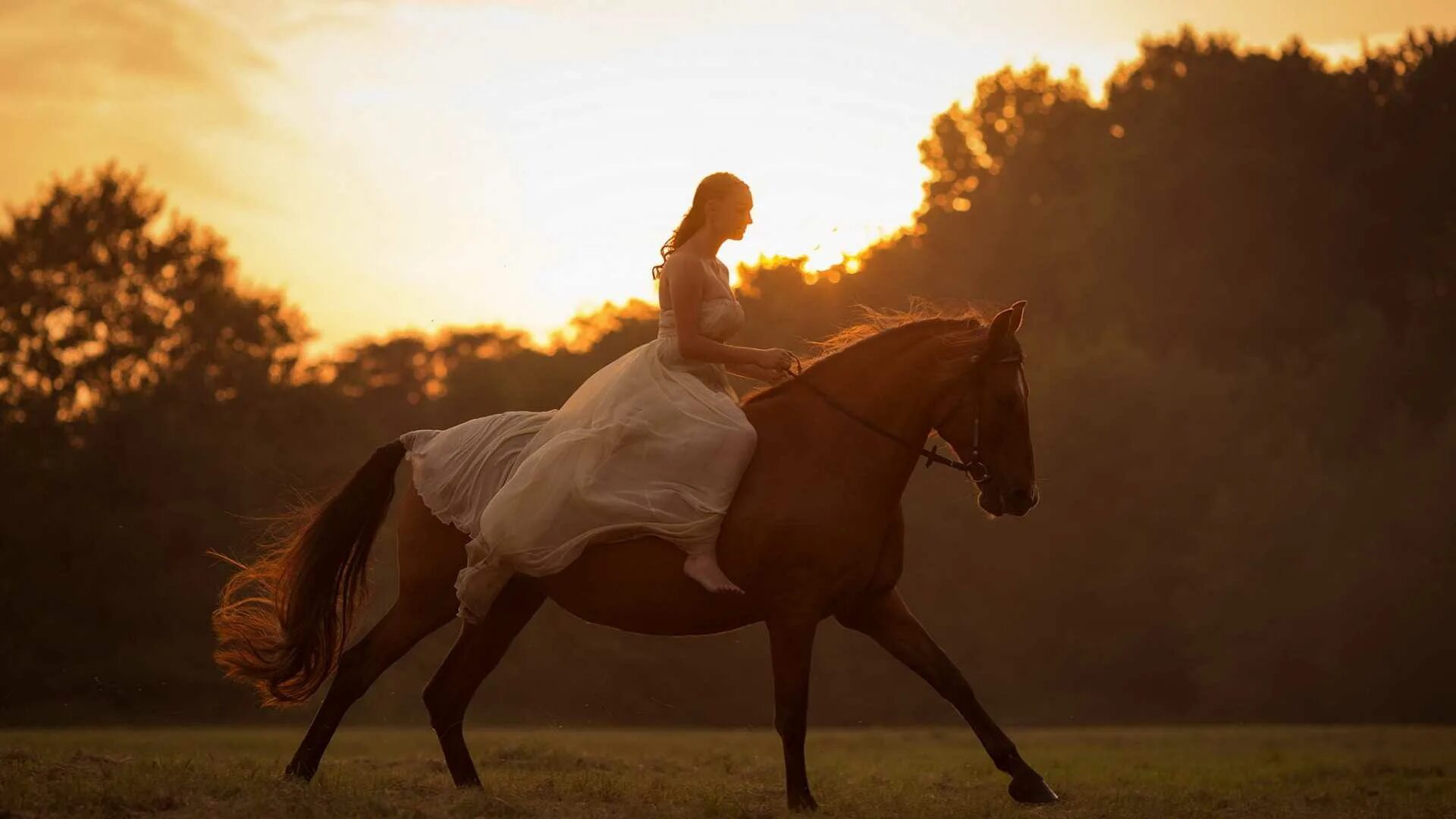 Redhead riding. Всадница Пенелопа Круз. Девушка на коне. Девушка верхом на лошади на закате. Лошадь скачет.