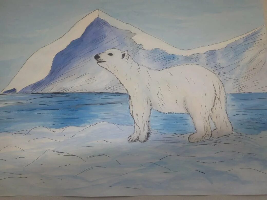 Рисунок арктической пустыни