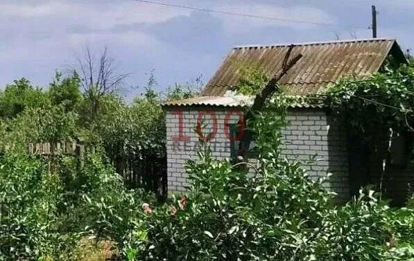 Снт здоровье химика. Снт здоровье самара. Снт здоровье фото. Волжский снт химик полив. Здоровье химика снт волжский.