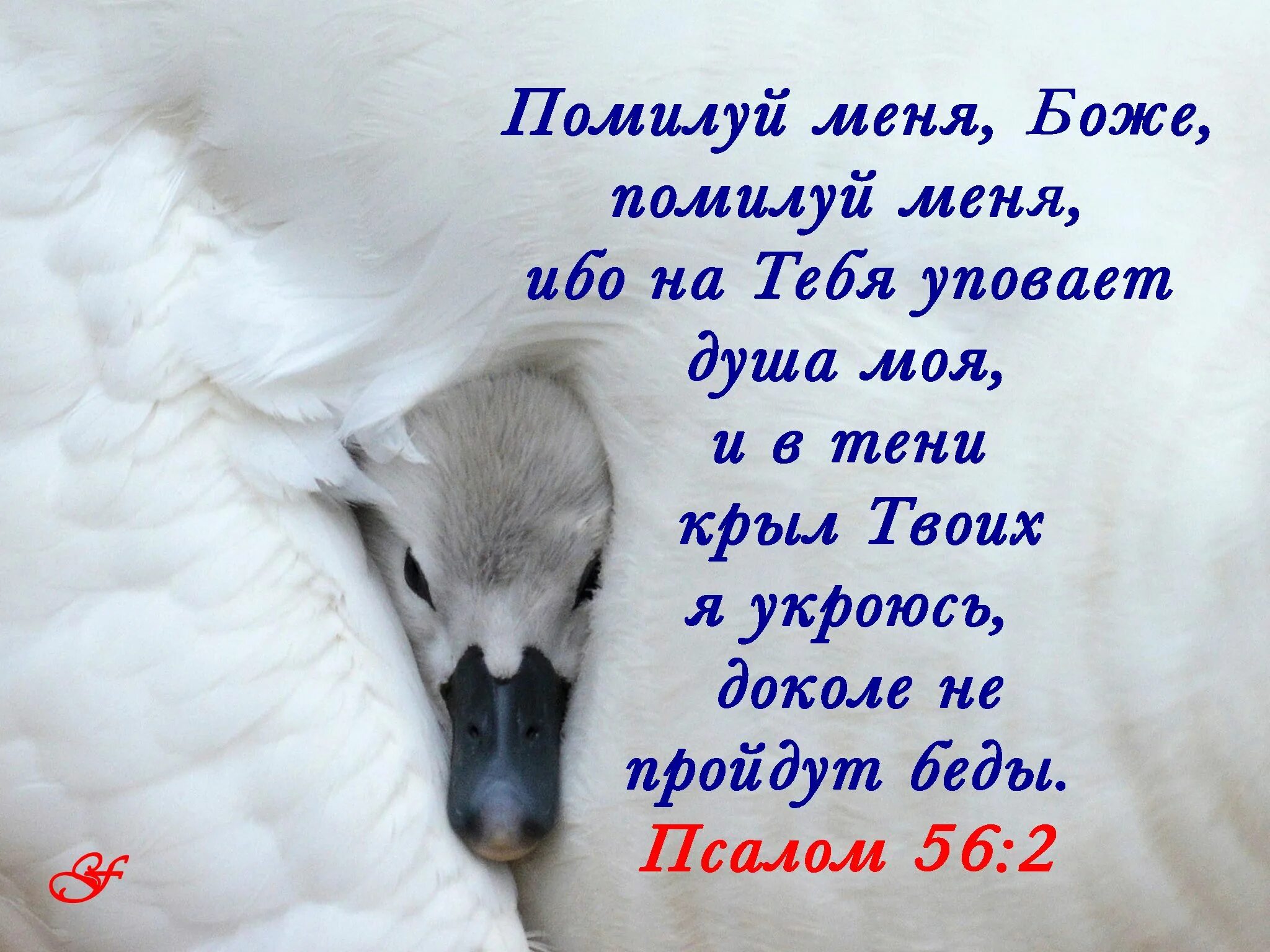 И не уповающие на него