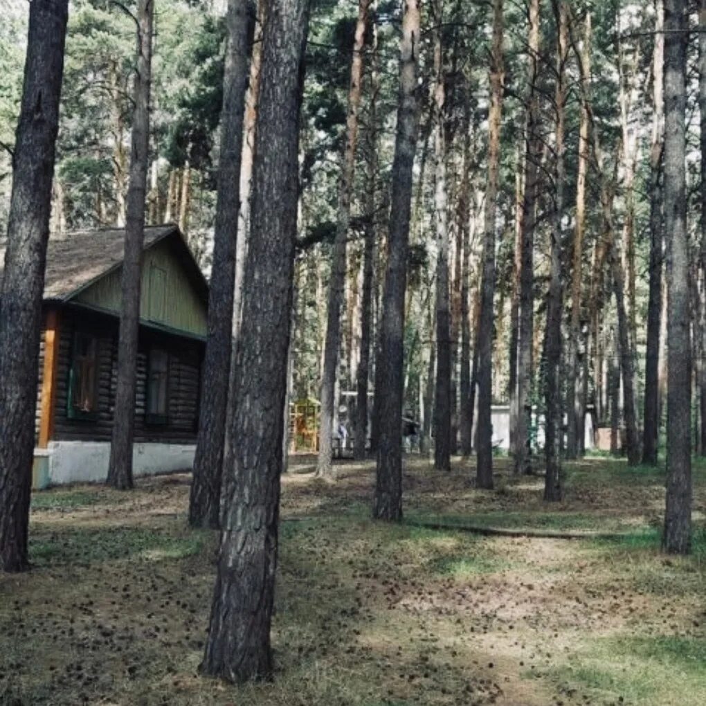 Пляж в боровом новосибирск. Село боровое новосибирск. Озеро боровое казахстан пляж. Нептун боровое новосибирск. Нептун боровое новосибирск.