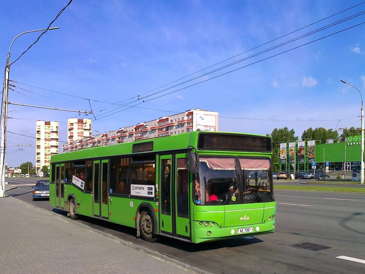 420 автобус зеленогорск. Автобус 420 пески. Автобус 420 пески. Автобус фото. Талица автобус 420.