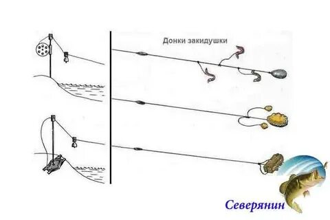 Как называется команда донка