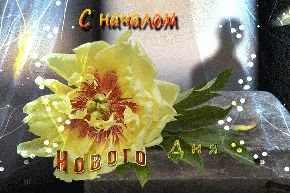 День начинается заново