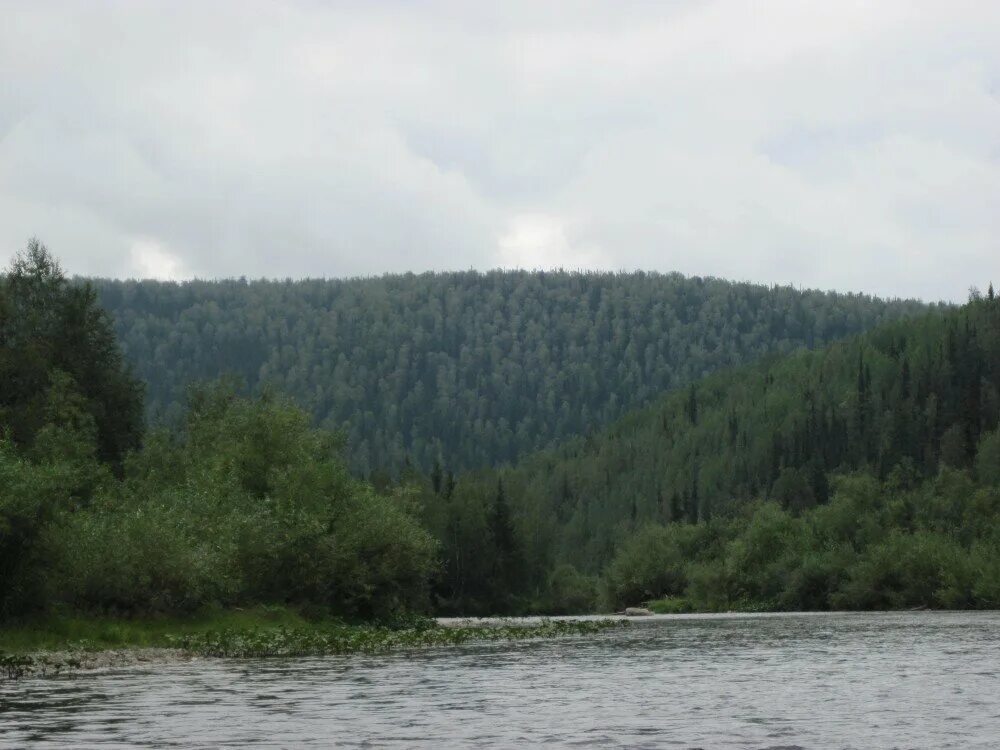 Сибирь 2015. Енисейский кряж. Уфа о томаш тшебуня. Сибирь автомобилист. Хк сибирь команда 2022.