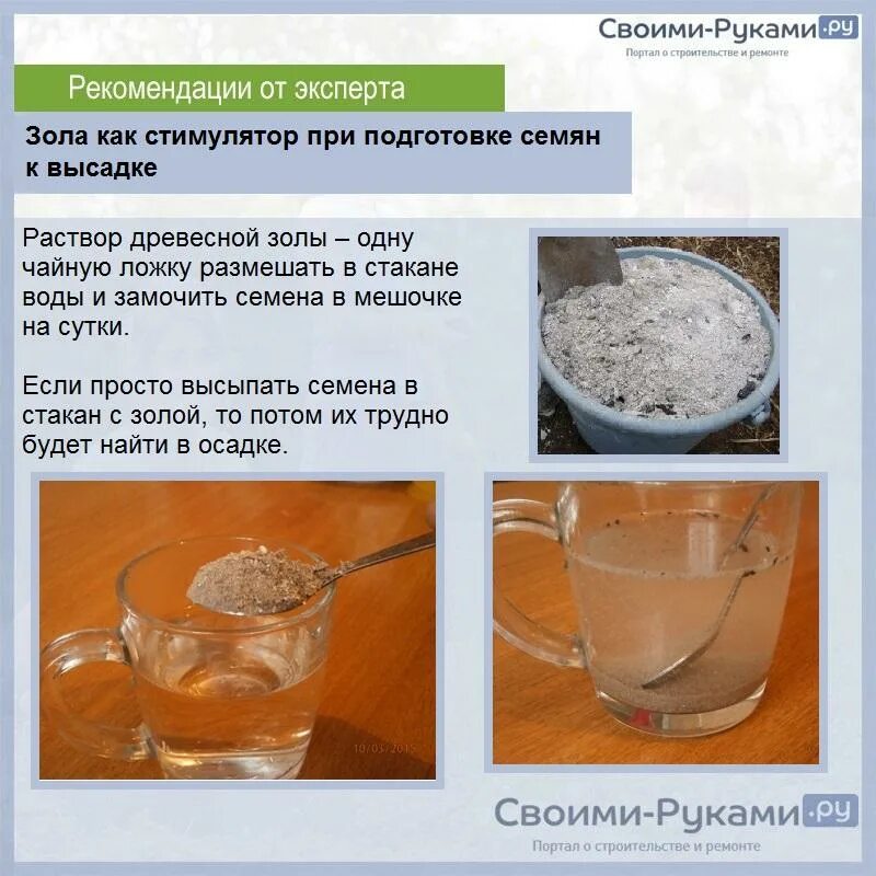 Помидоры можно замачивать в перекиси водорода. Намачивание семян в воде. Обработка семян перед посадкой. Семена перед посевом. Замачивание семян перед посадкой.