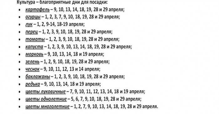 Лунный календарь посадки чеснока весной. Благоприятные дни для высадки чеснока. благоприятные дни для посадки чеснока под зиму. посадка чеснока под зиму по лунному календарю. благоприятные дни для посадкичеснокп.