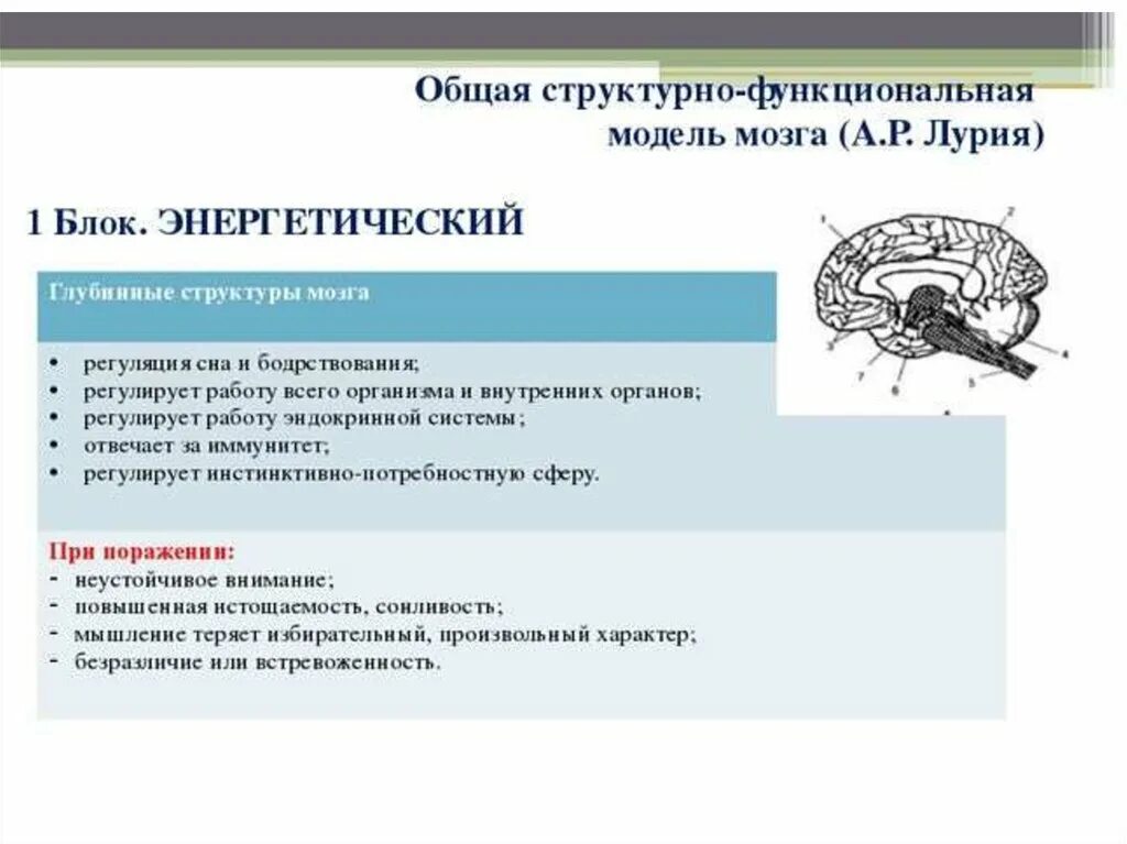 Нарушения блоков мозга. Структурно-функциональная модель мозга а.р Лурия. Лурия 3 блока мозга. Функциональные блоки мозга Лурия. Структурное строение блоков мозга таблица.