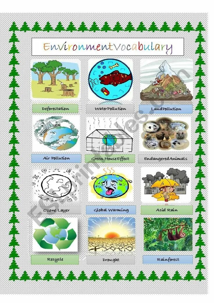 Environmental Issues Vocabulary. Environment Vocabulary. Environment Vocabulary for Kids. Environmental Vocabulary. Ecology vocabulary