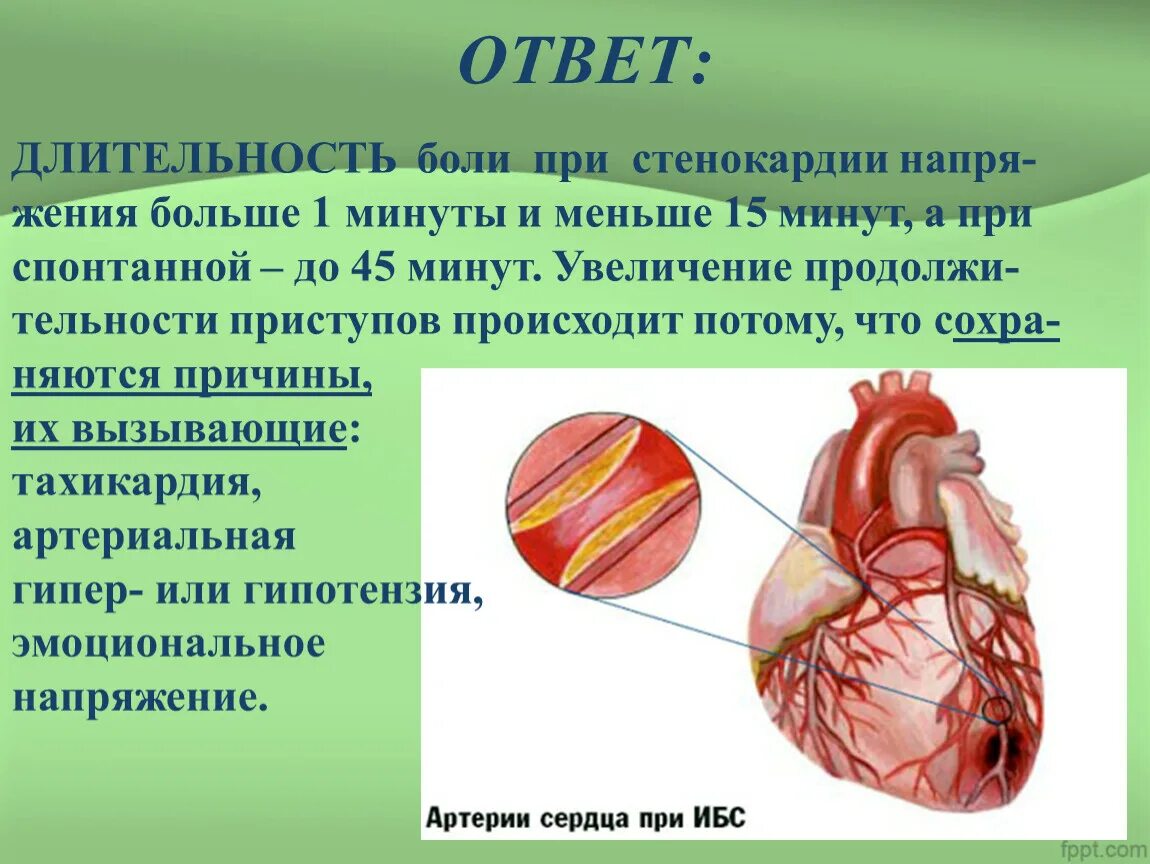 Сколько времени длится боль. Длительность боли при стенокардии. Длительность боли при стенокардии не более. Длительность боли при стенокардии не. Длительность болевого приступа при стенокардии.