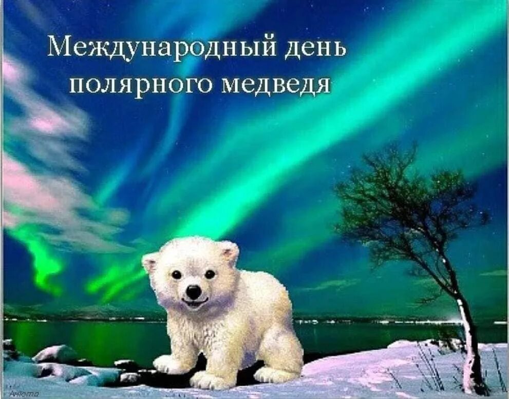 Международный день белого медведя картинки. Международный день полярного белого медведя 27 февраля. день полярного медведя. международный день полярного (белого) медведя. день белого медведя.