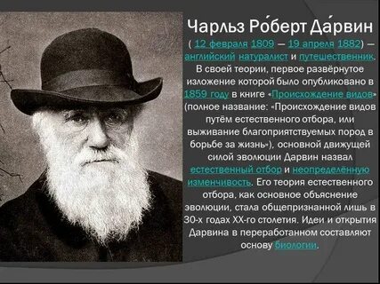 Годы жизни биология