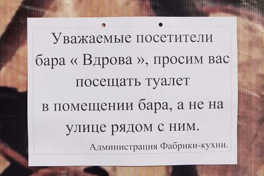 Хорошо быть кошкой хорошо собакой где хочу пописаю. Хорошо быть кошкою хорошо собакою где хочу пописаю где хочу. Хорошо быть кошкою хорошо собакою где хочу пописаю где хочу текст. Где хочу пописаю. Хочу пописаю