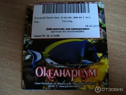 Океанариум санкт петербург расписание