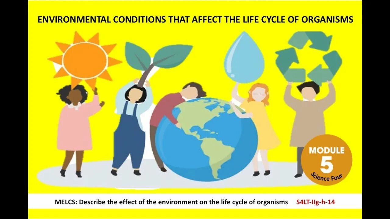 Environmental conditions. Environmental condition constraints. Aviations environmental impact. Environment condition. Observing the effects of various mineral elements on plant growth.
