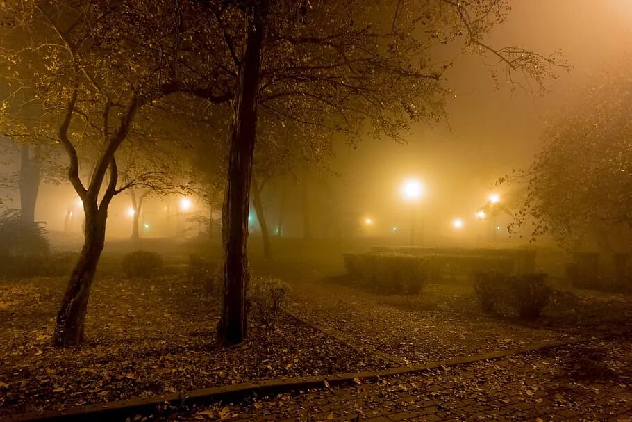 Ночной парк туман. Ночь в парке. Парк туман ночь. Туманный вечер. Ночь свет ветер