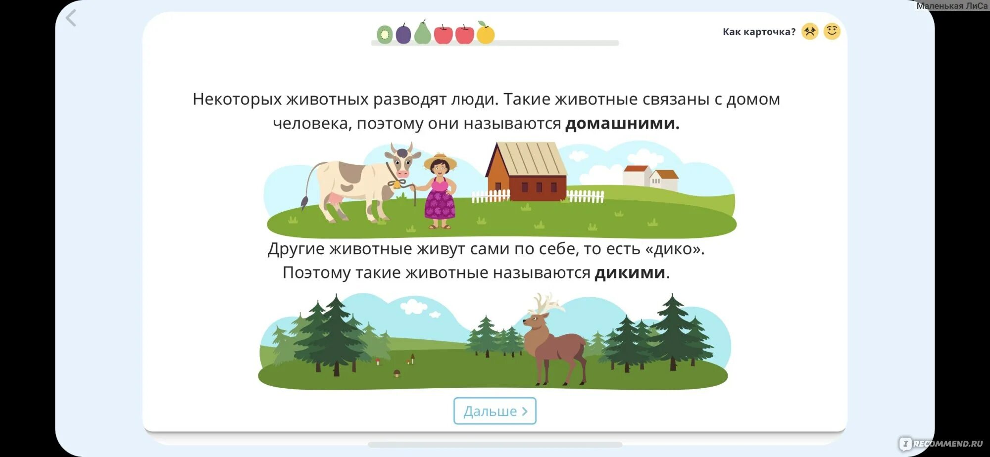 Платформа для создания интерактивных заданий. Платформа для создания интерактивных заданий