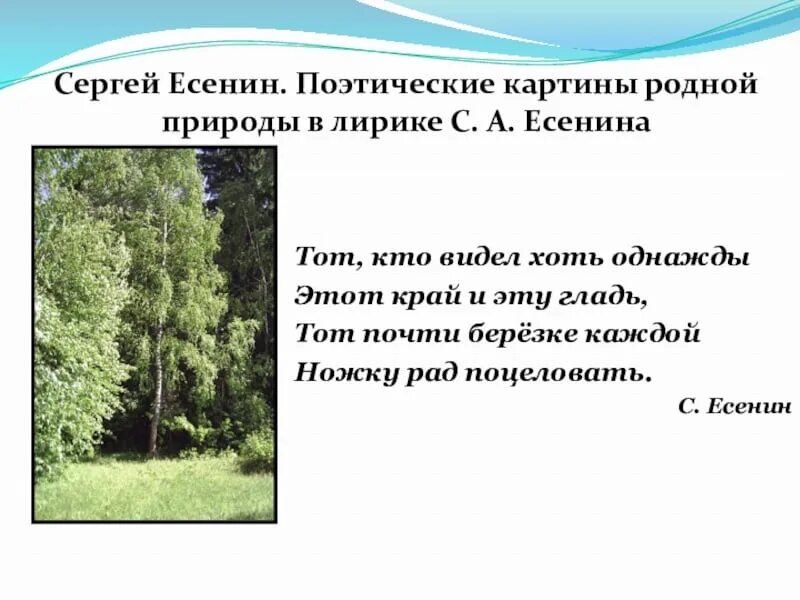 Родная природа в стихотворениях есенина. Есенин стихи о природе короткие. Картины родной природы в лирике с.а Есенина. Стихи Есенина о природе короткие. Стихи Есенина на тему природа.