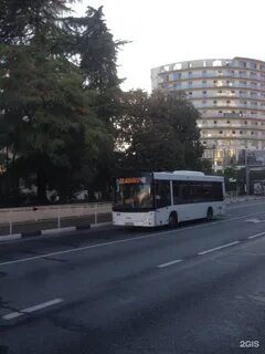 Автобус 22 сочи
