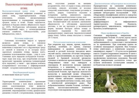 Болезнь птичий грипп