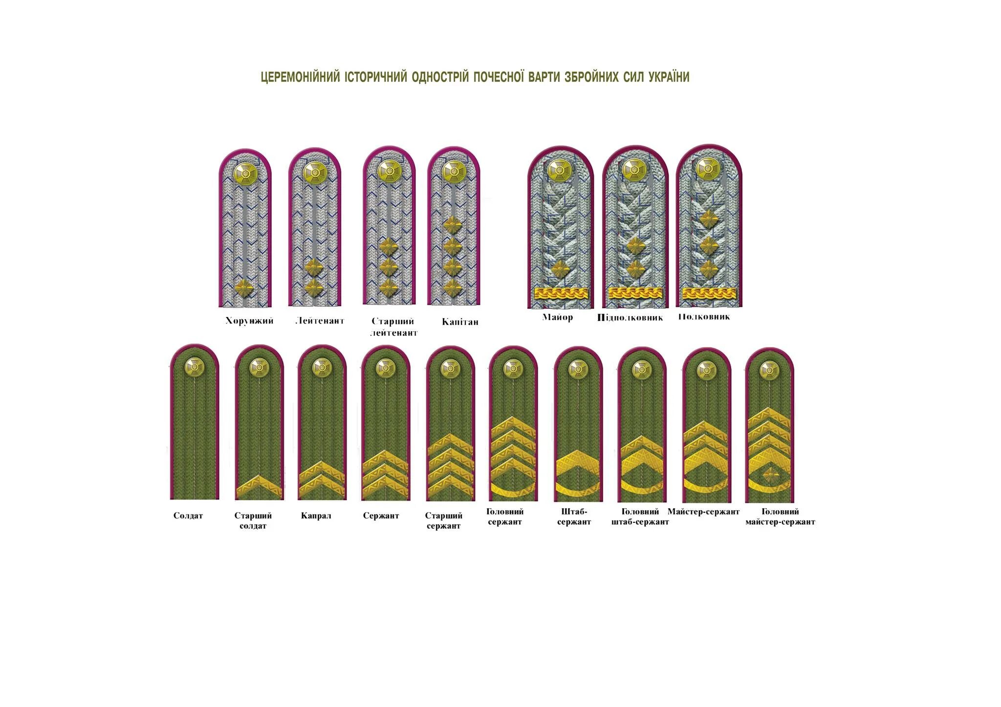 Погоны украины. Воинские звания и погоны ВСУ Украины. Знаки отличия в армии Украины. Знаки различия армии Украины 2021. Вооруженные силы Украины знаки различия армии.