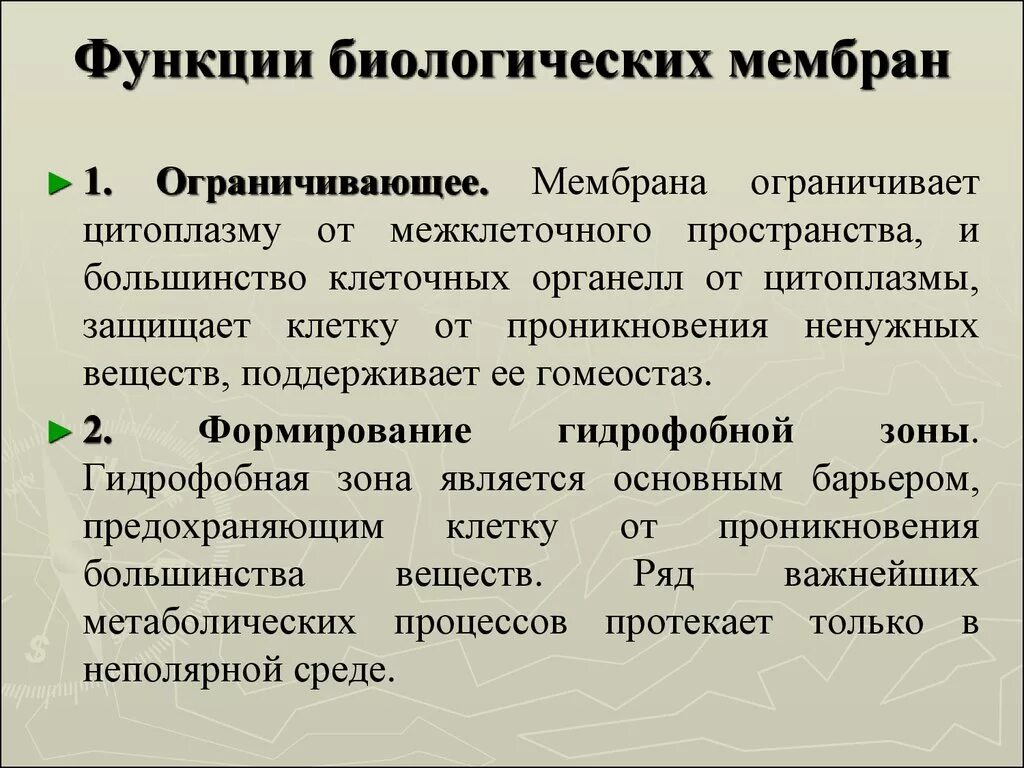 Свойства функции мембраны. Функции биологических мембран. Основные функции биологических мембран. Основные функции мембра. Биологическая роль мембран.