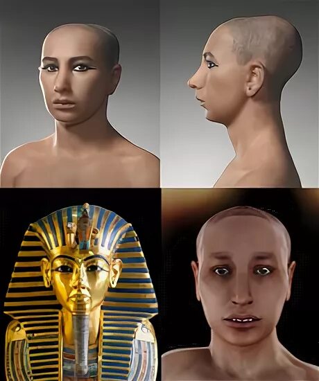 структура днк уотсон и крик. днк известных людей. днк известных людей. днк эстетика. джеймс уотсон.