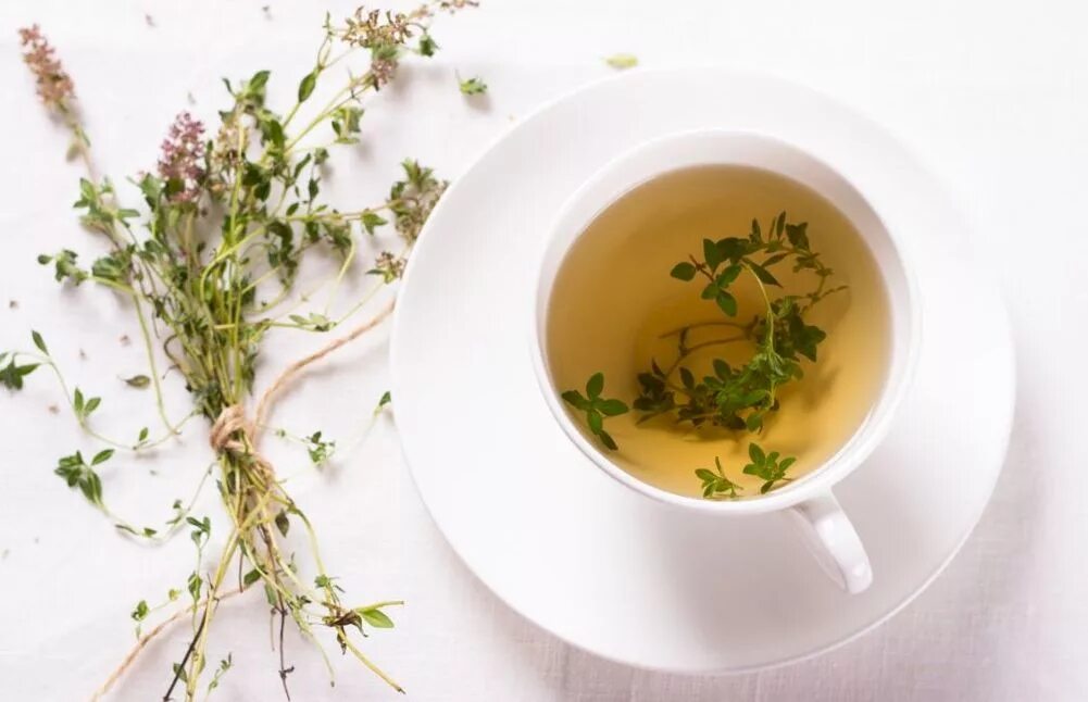 Тимьян ползучий настой. Душица обыкновенная лрс. Чай с чабрецом. Чай thyme. Трава тимьяна ползучего.