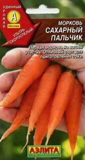 Морковь сахарный