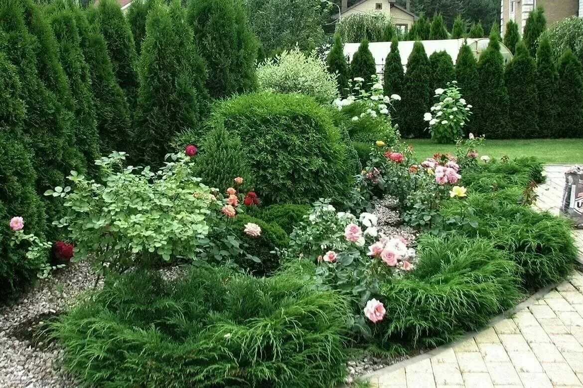 Клумба из кустарников фото