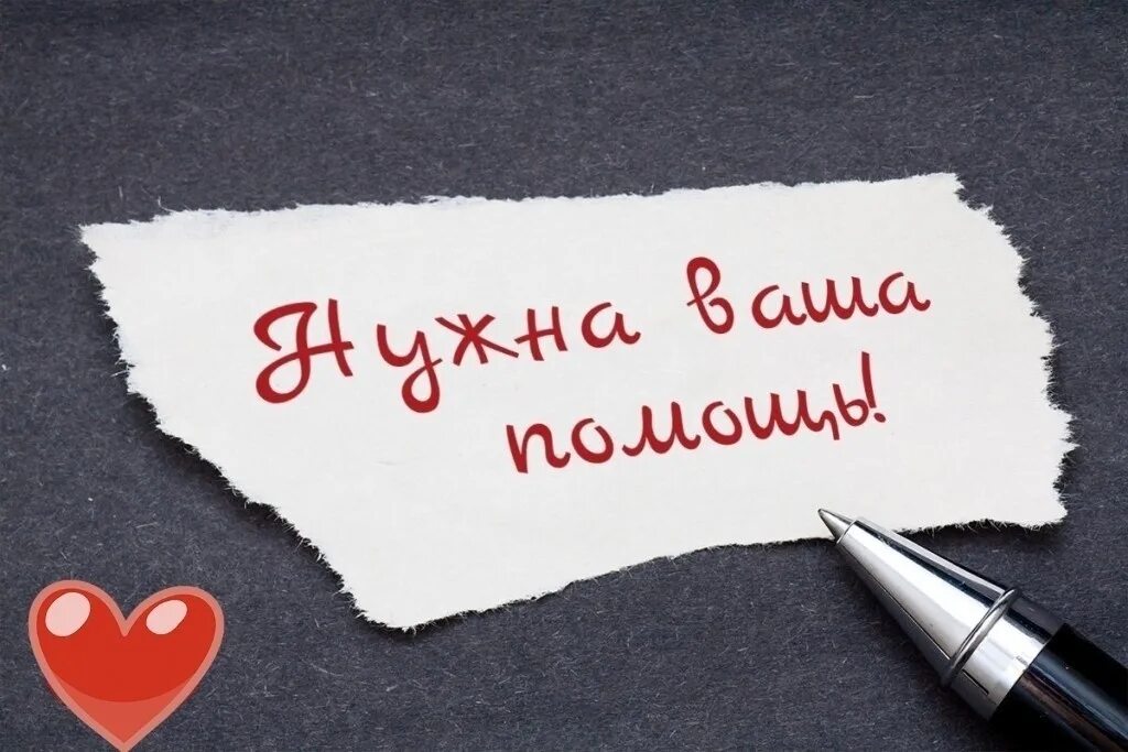 Поддержи проект. Нужна помощь. Просьба поддержать. Кнопка поддержать проект. Решила похудеть, пришла домой, жирная мать позор для семьи.