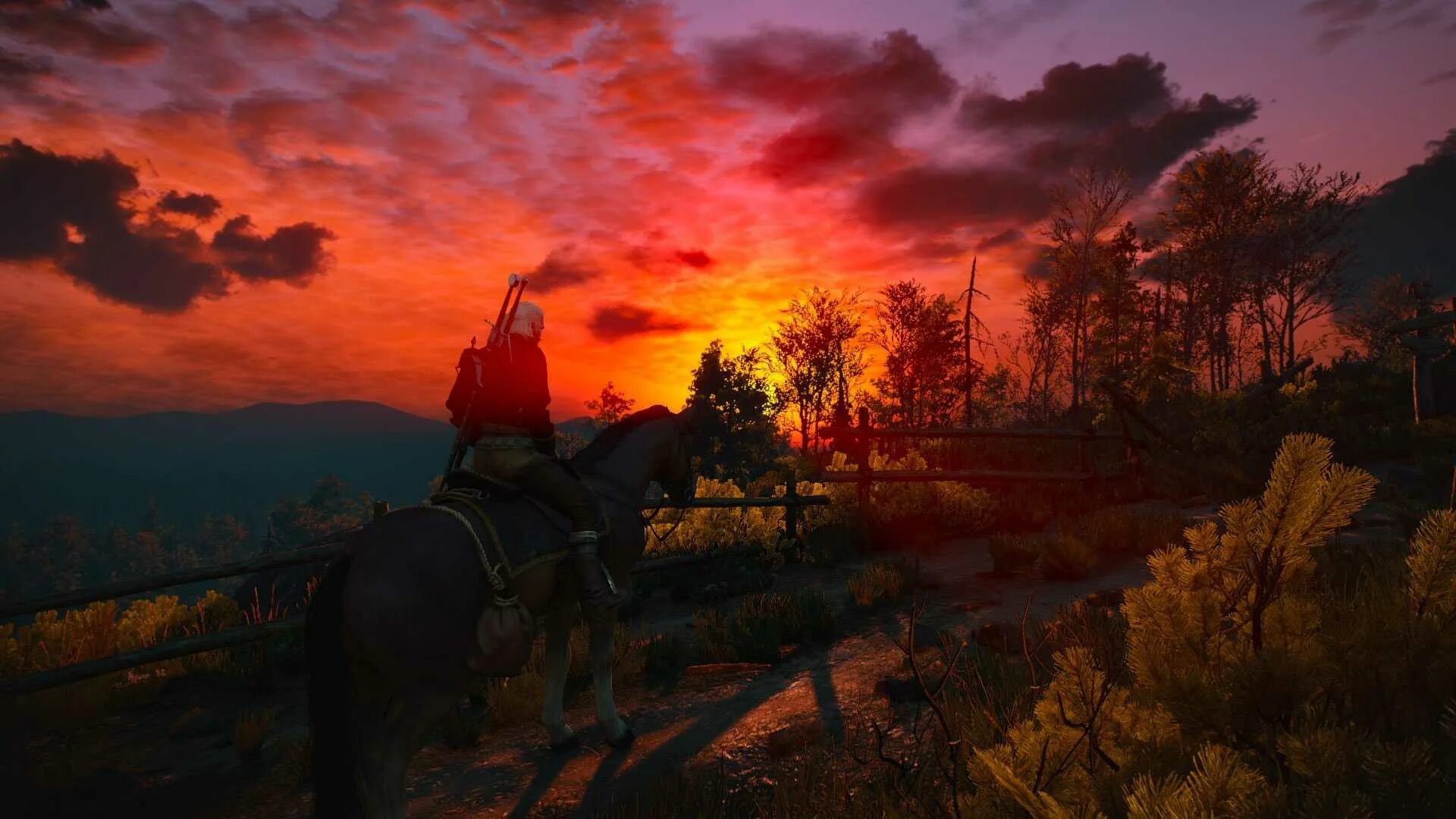 Зачарованные ведьмак 3. Witcher 3 велен. велена ведьмак 3. велен ведьмак 3. город велен ведьмак 3.