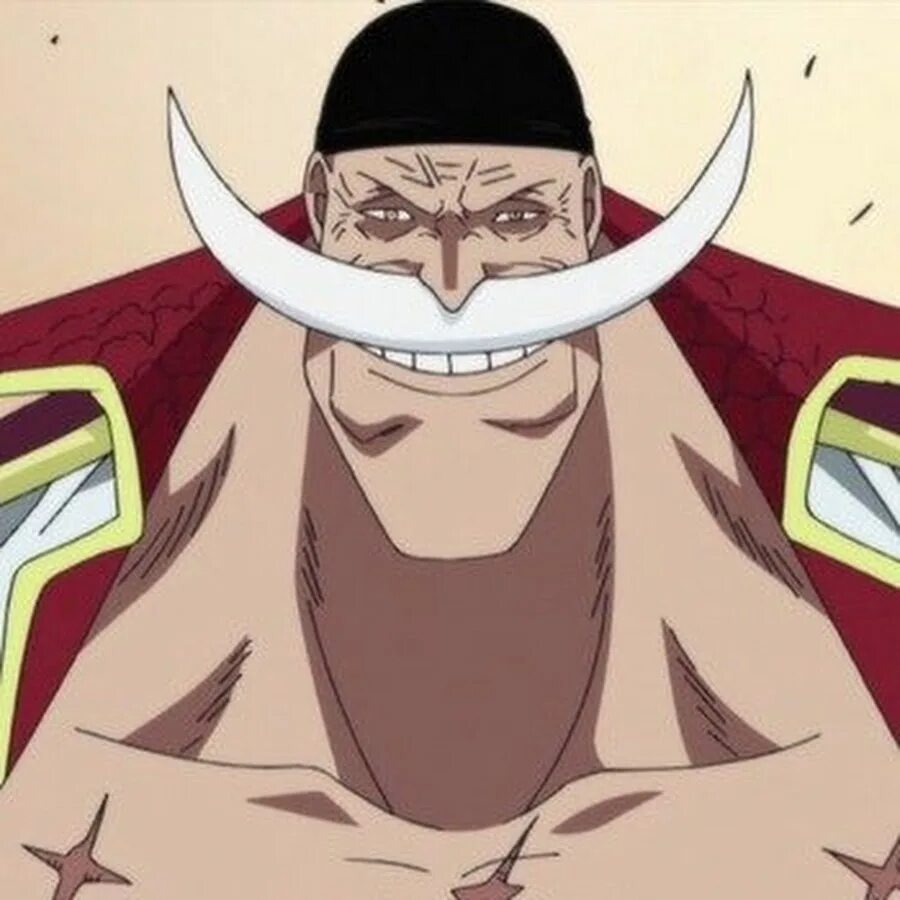A universal time whitebeard. Whitebeard one piece.