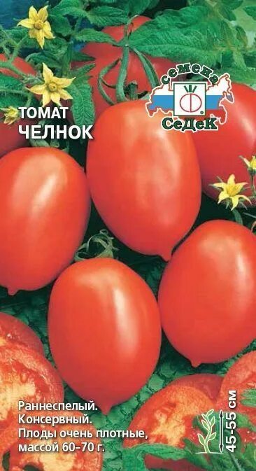 Помидоры челнок описание сорта фото Челнок томат отзывы