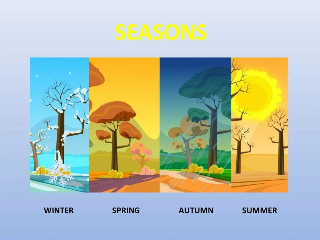 Simple seasons. Времена года иллюстрации. Изображения времен года для детей. Картинки по временам года.