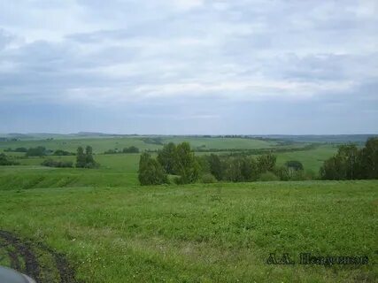 Алтайский край солтонский