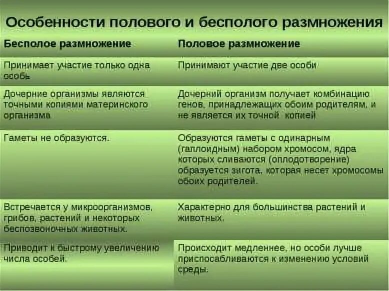 В половом размножении принимают участие