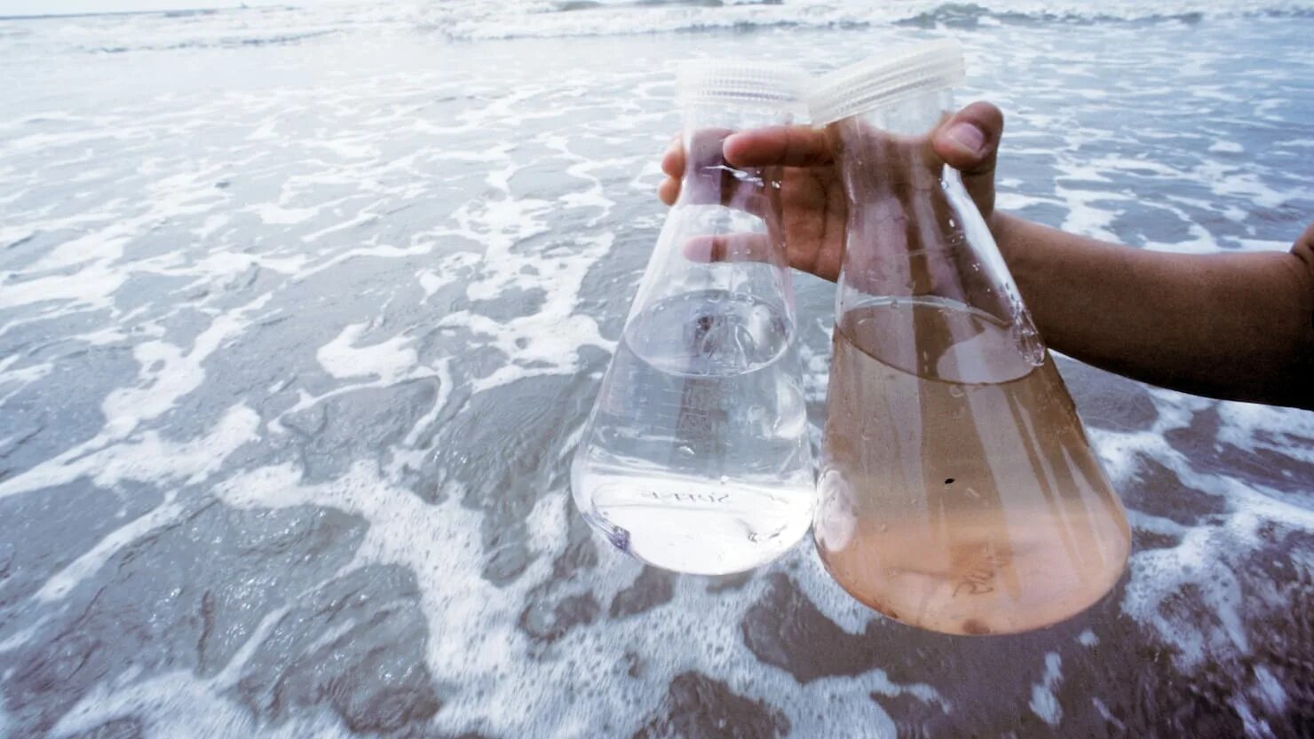 Выпить забортной воды из плафона. Качество воды. Пробы воды. Отбор проб воды. Природная вода.