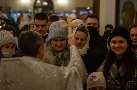 Базилик бобруйск отзывы