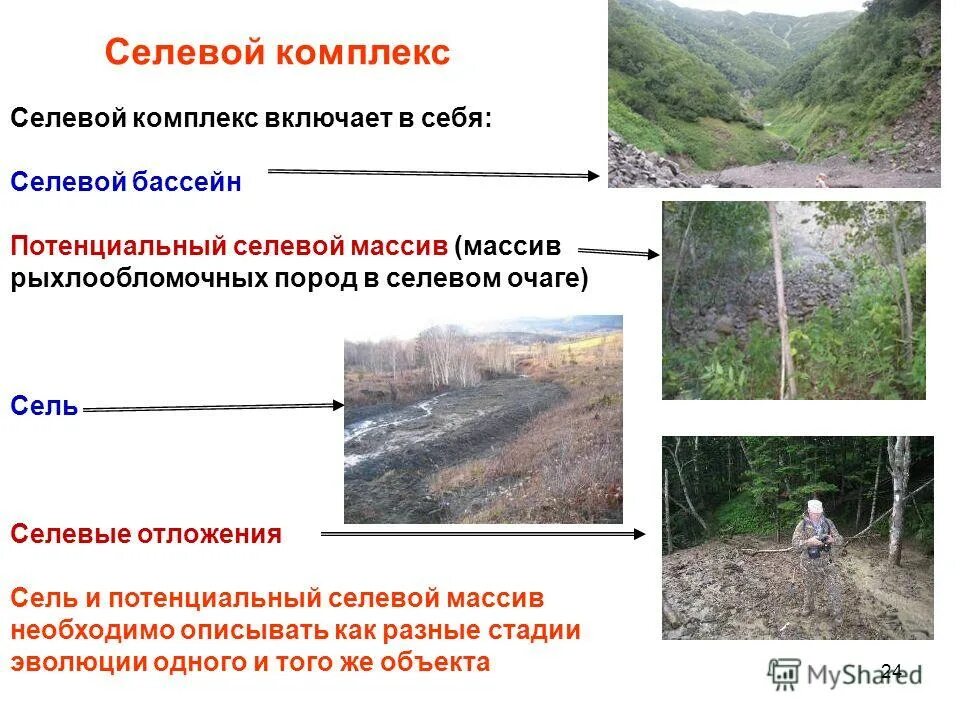 территория характеризующаяся интенсивным развитием селевых процессов. структура потоков. источники твердо составляющие селевого потока. условия формирования селей. причины возникновения селевого потока.