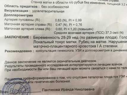 Узи кровотока матки
