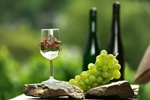 Wein