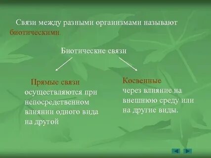 Направленные связи примеры